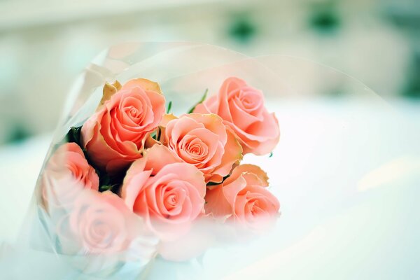 Bouquet of pink roses in a transparent package