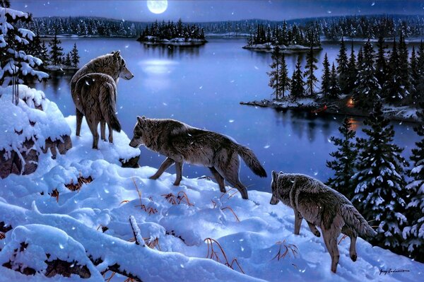 A pack of hungry wolves on a snowy forest slope at the foot of a blue lake