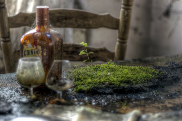 Bottle and glasses on the table in the moss