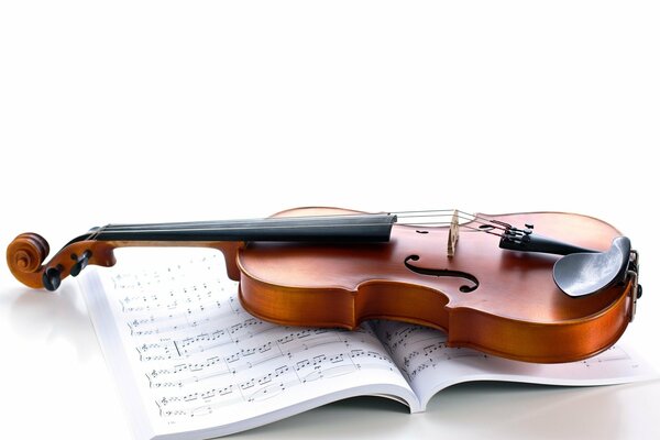 Violon. meilleur instrument de musique