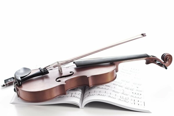 Violon sur un cahier avec des notes. Fond blanc