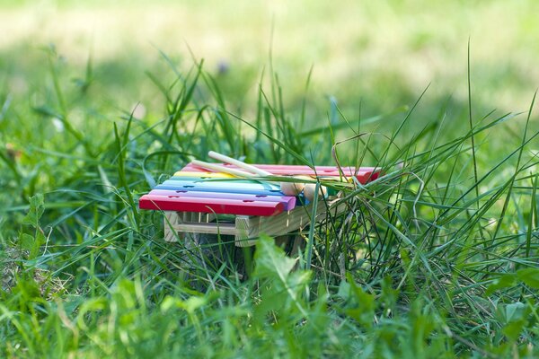 Kindermusikinstrument auf dem grünen Rasen