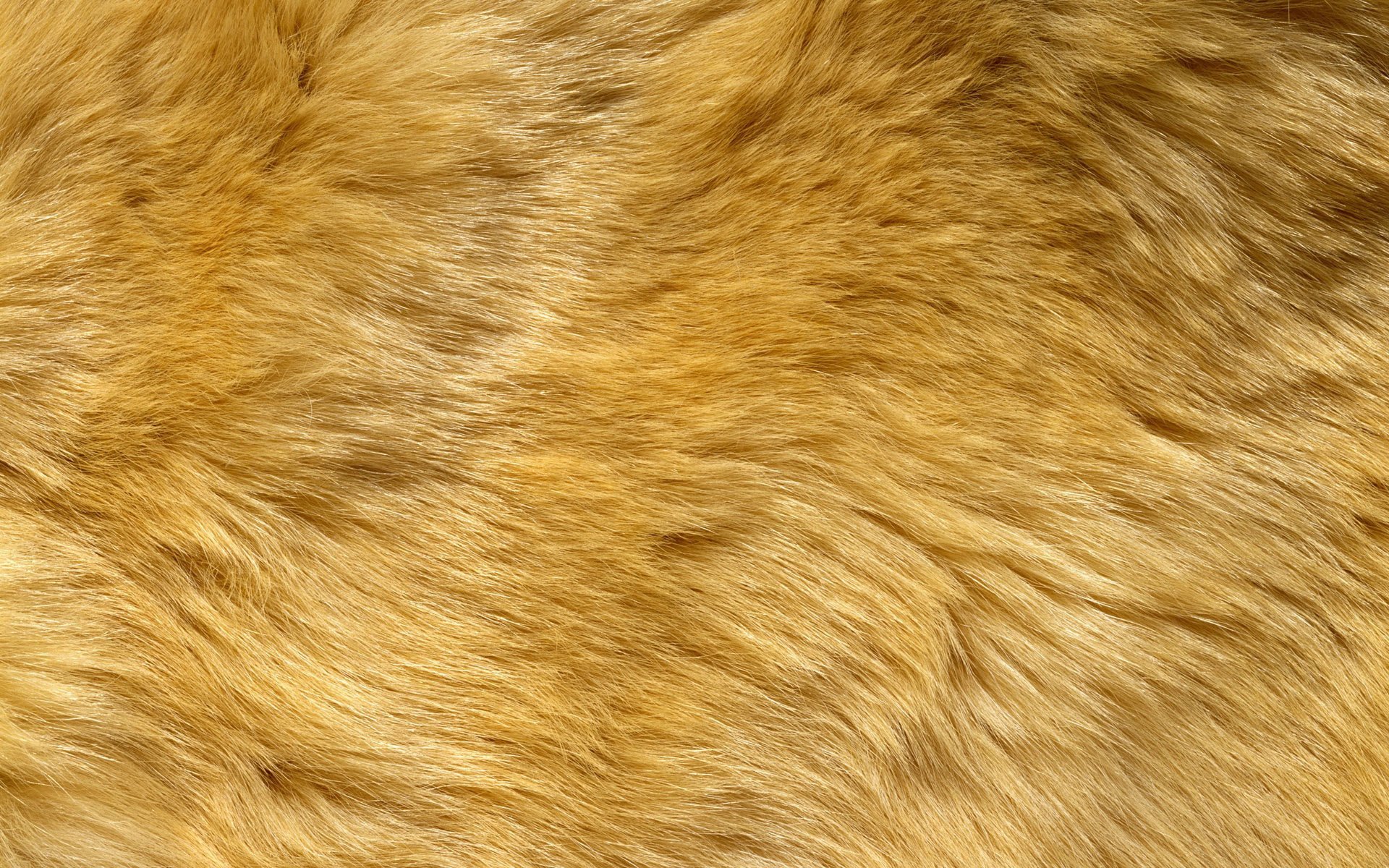 leo wool fur safari beige