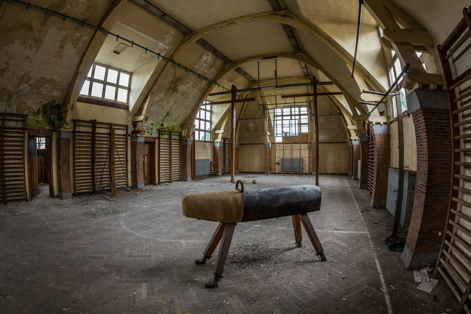 gimnasio interior caballo