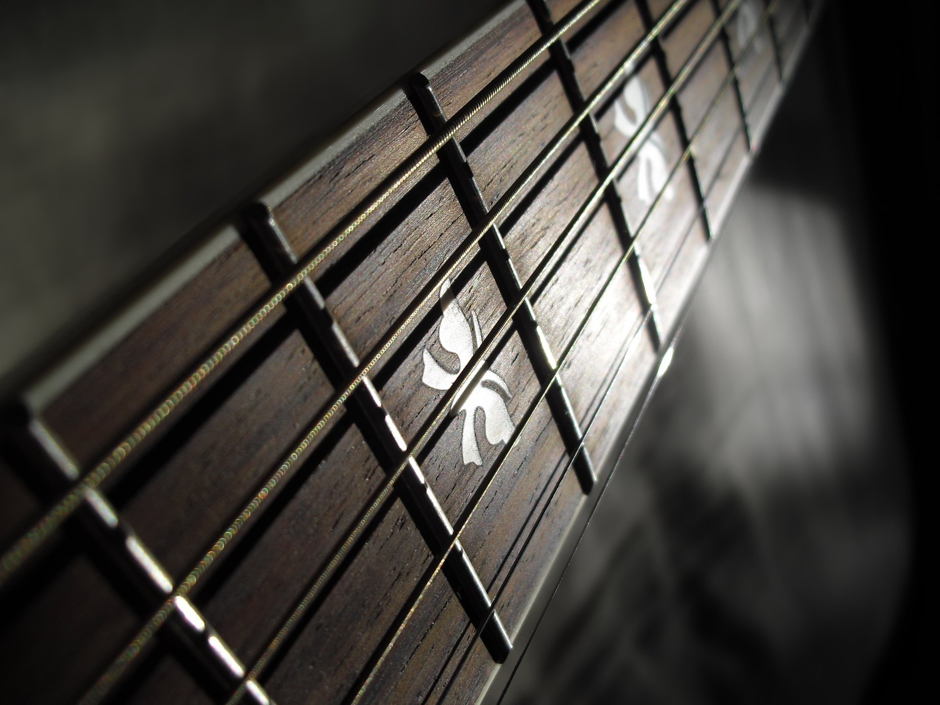 cuerdas trastes guitarra macro diapasón