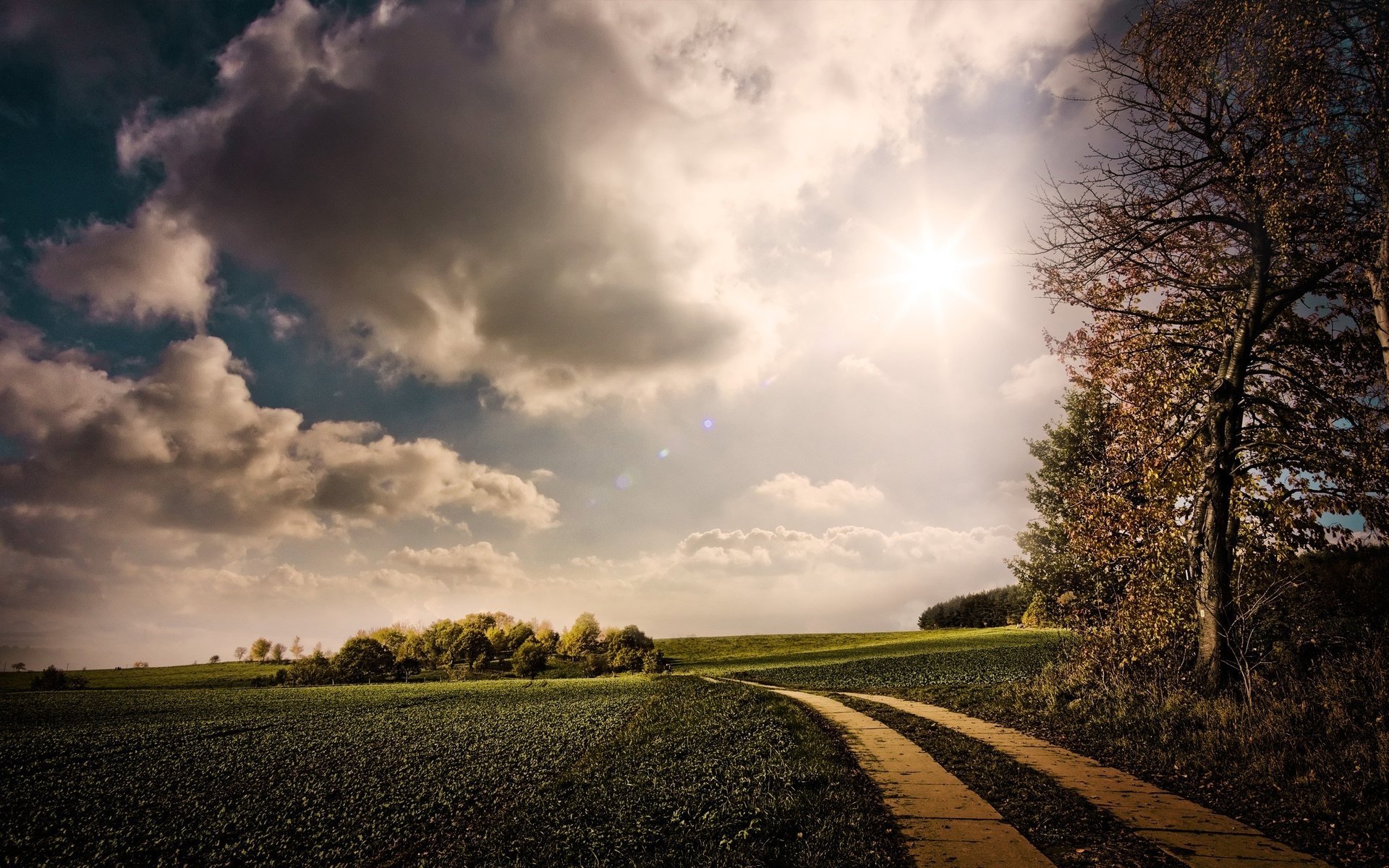 natura sentiero montagna cielo nuvole alberi