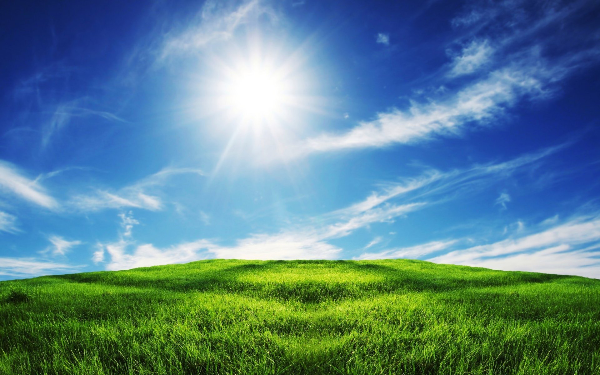 field the sky clouds nature the sun weed grass green meadow