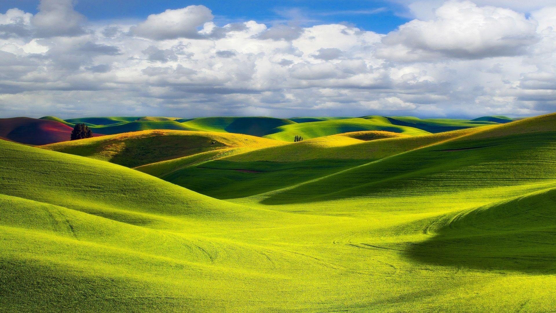 landscape nature meadow greens grass day the sun light cloud