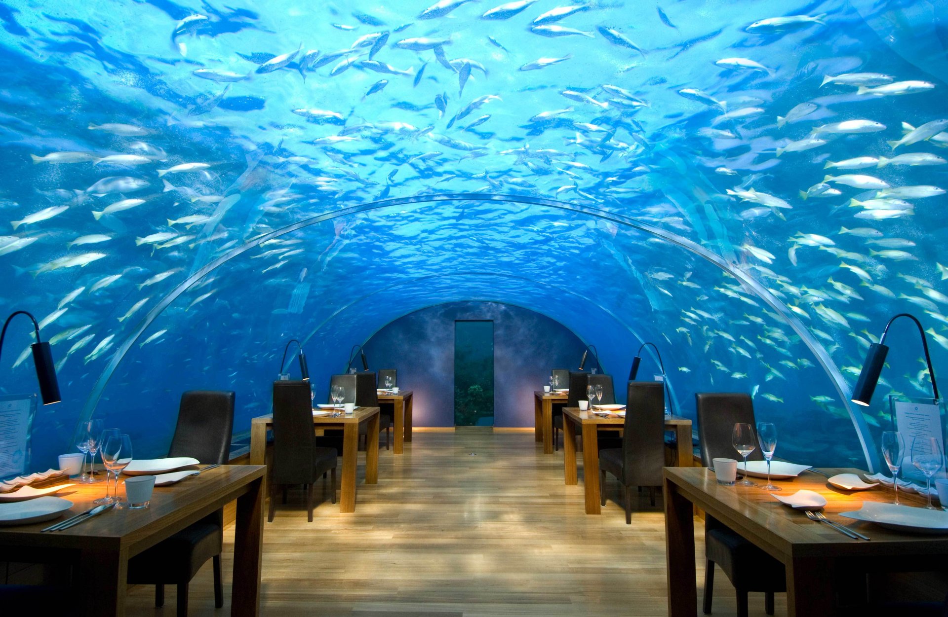 interni stile design hotel maldive ristorante sott acqua hilton rangali