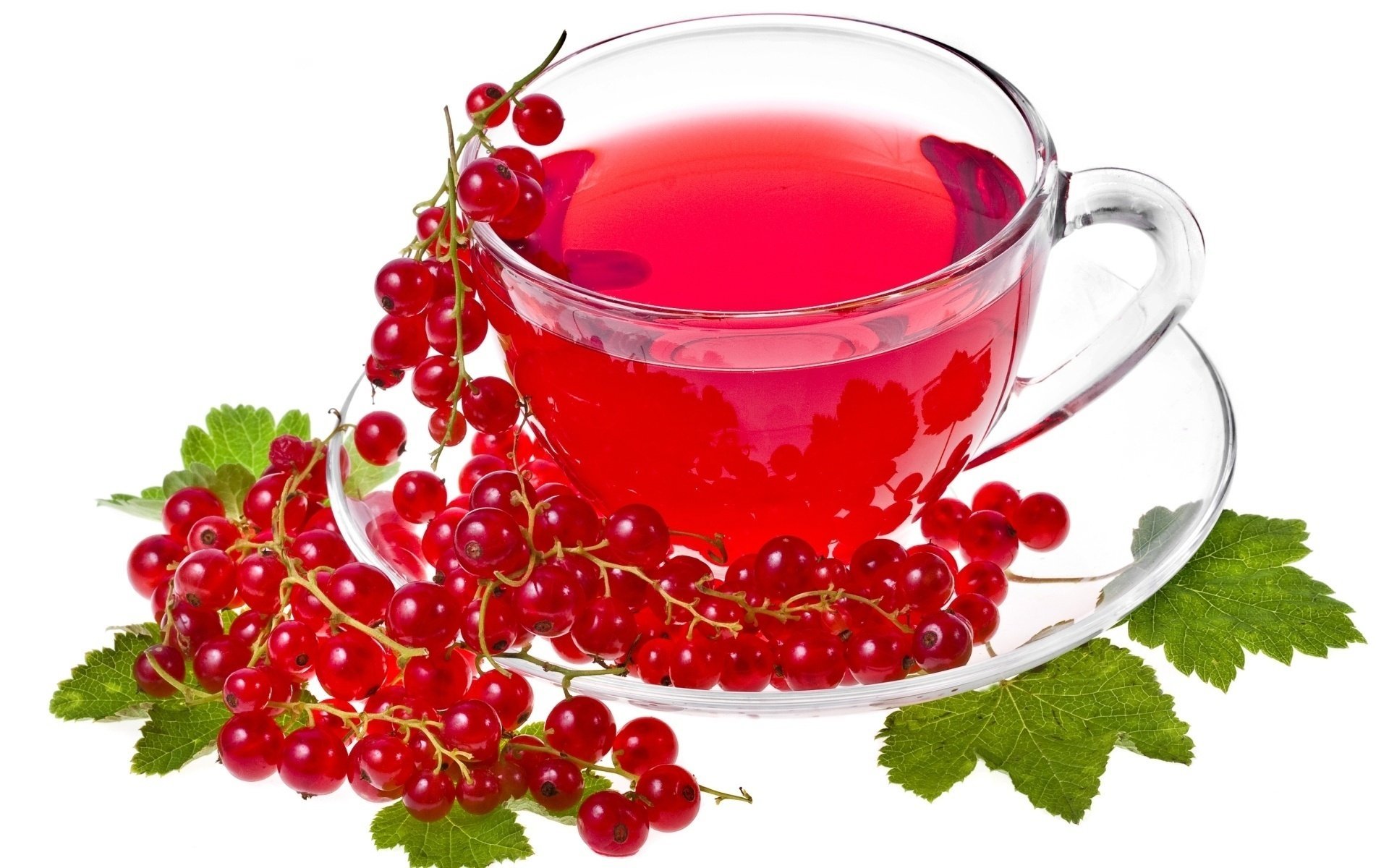 tea currant white background red tea currant