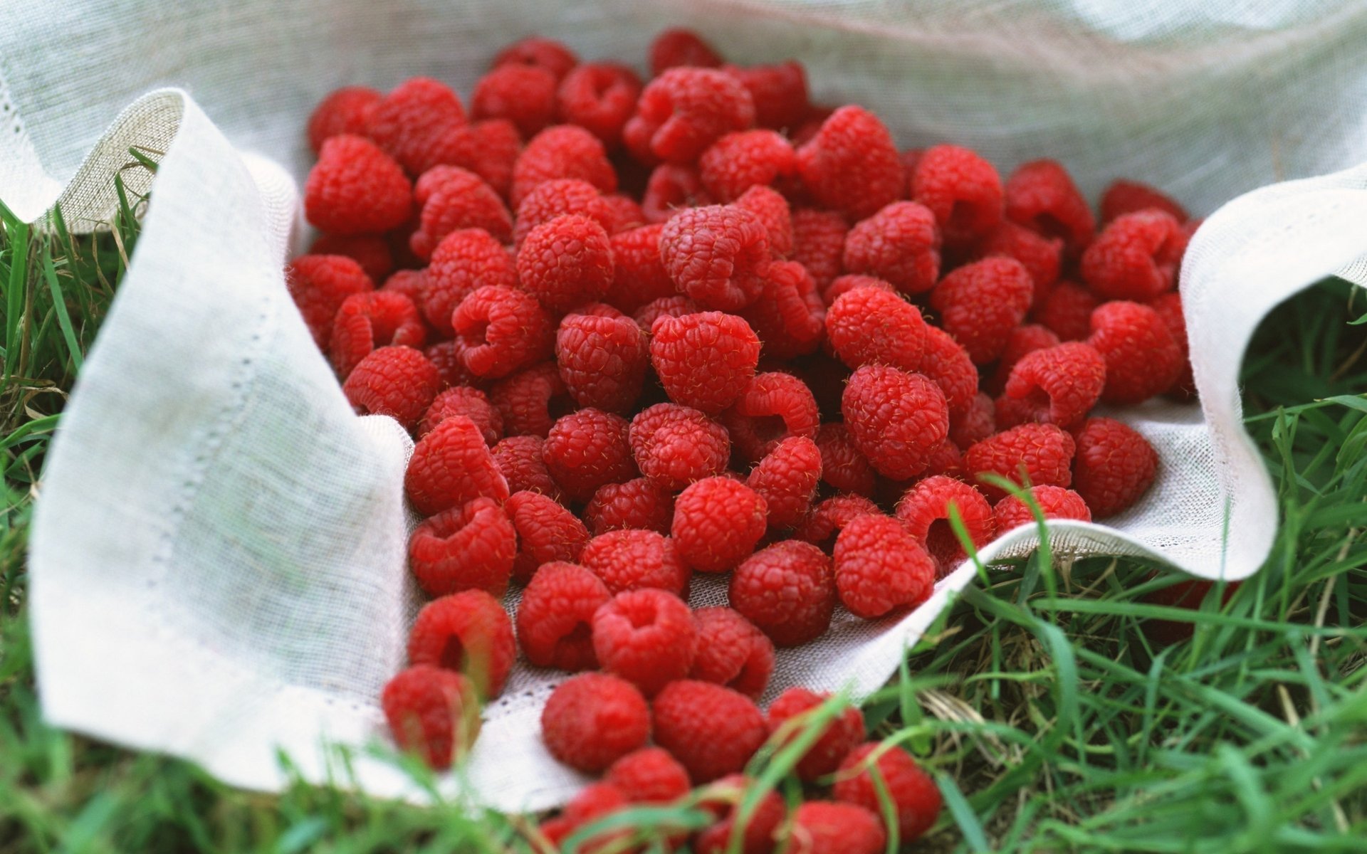 ummer raspberry grass berry