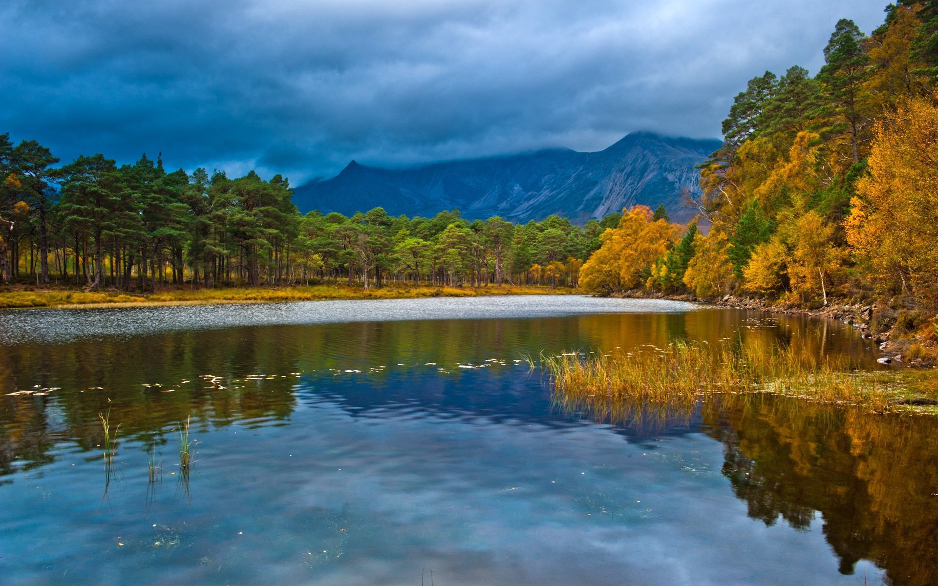 loch clair england пейзаж scotland озеро осень лес