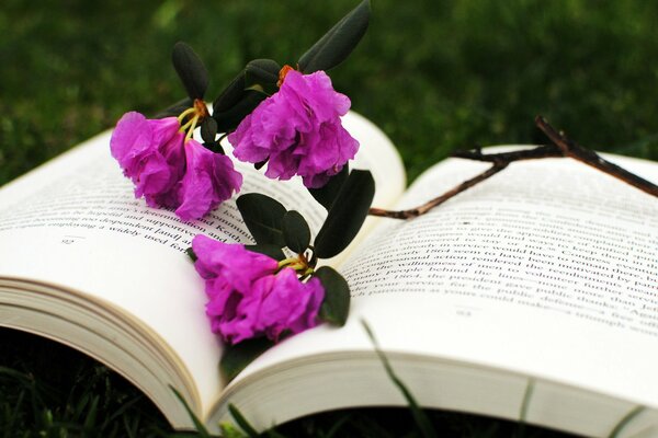 Excellent signet de fleurs pour le livre