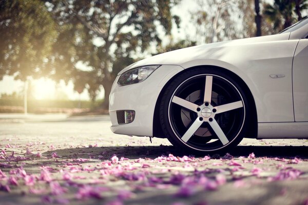 White car on a beautiful background