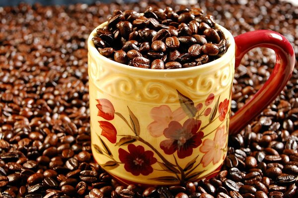 Tasse pleine de grains de café torréfiés, sur un fond de beaucoup de mêmes grains