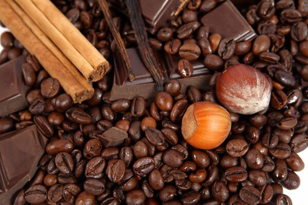 Bodegón de granos de café, nueces, palitos de canela y chocolate