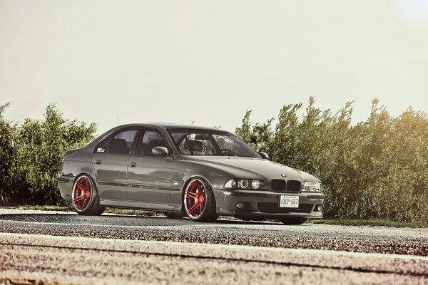 Bmw e39 posing in nature