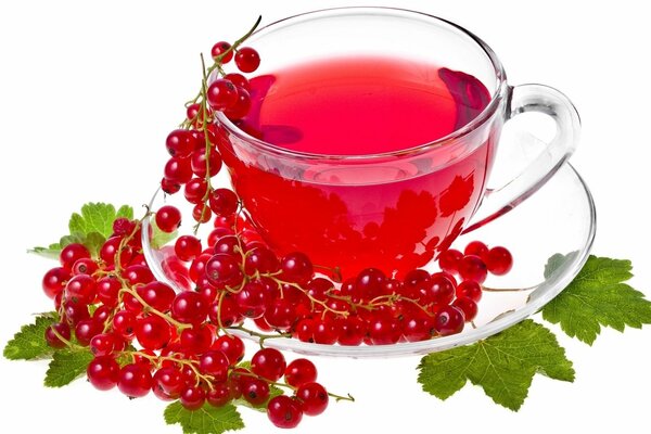 Rotes Getränk in einem transparenten Becher mit Johannisbeeren auf einer Untertasse