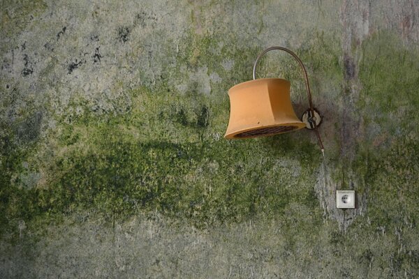 A lamp on an old shabby wall