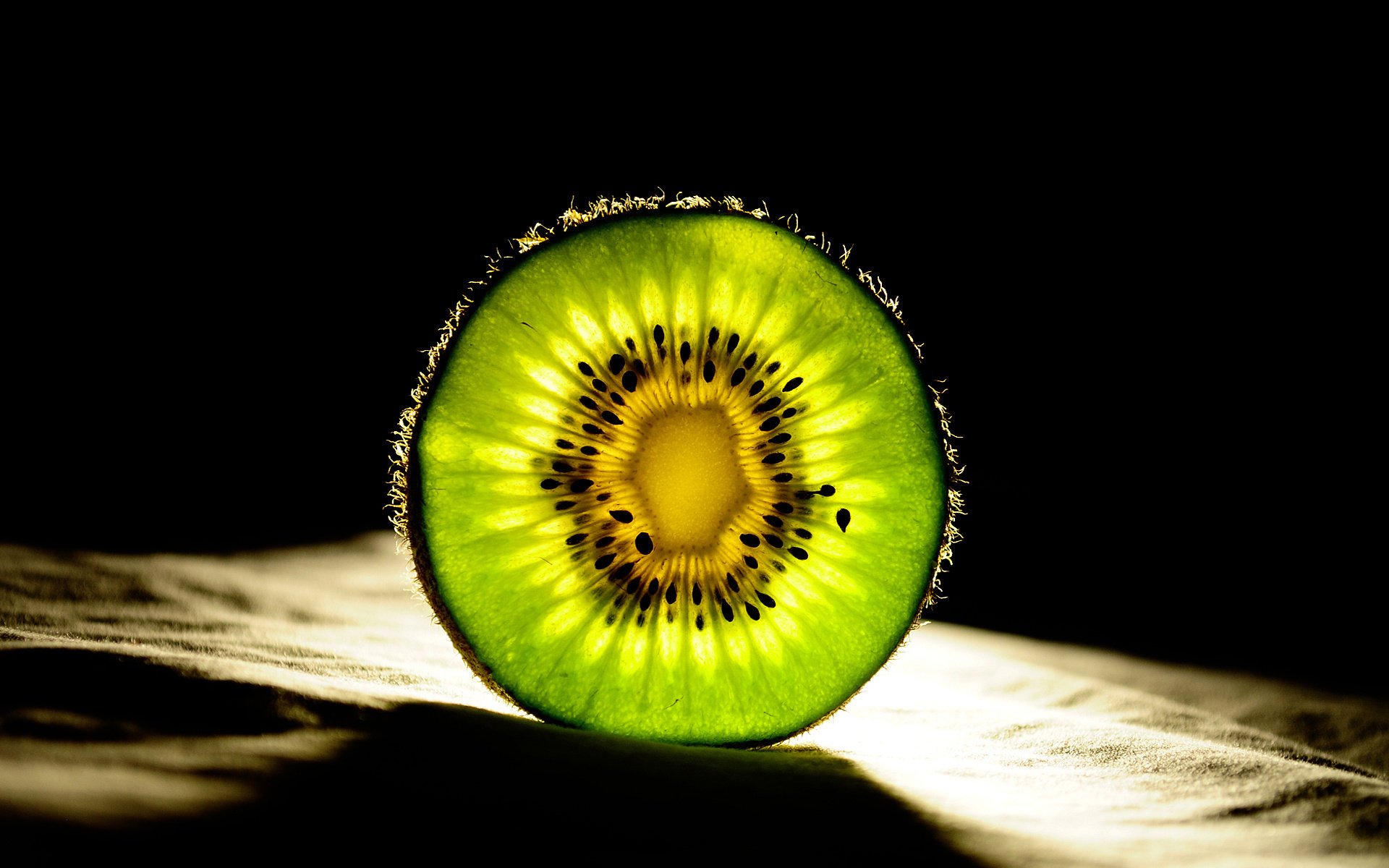 kreis kiwi frucht scheibe grün