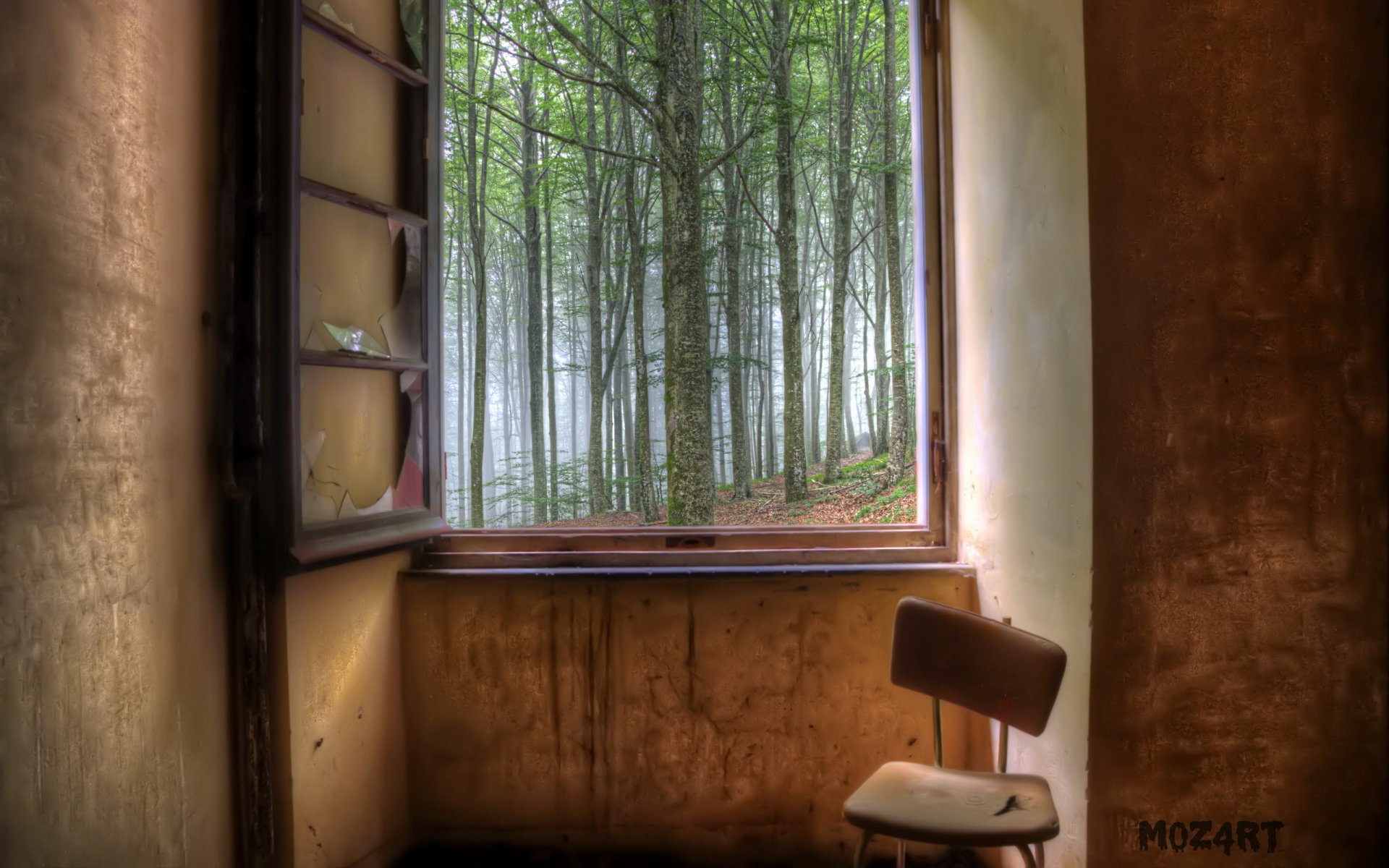 room window forest