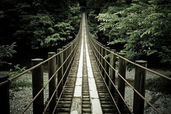 Bridge over the river into the forest