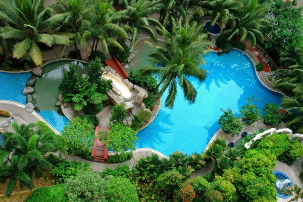 Hermosa vista exterior con palmeras en el Jacuzzi