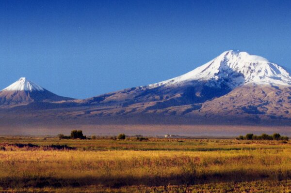 Goldene Wiese vor dem Hintergrund des Berges Ararat