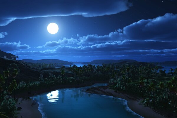 Night. Moon. River on the background