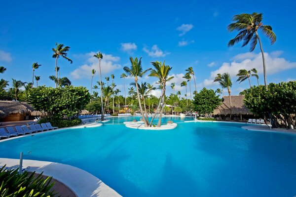 Large swimming pool in the hotel with palm trees