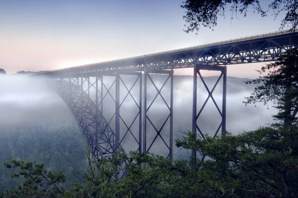 Lange Brücke über die Blütenwolke