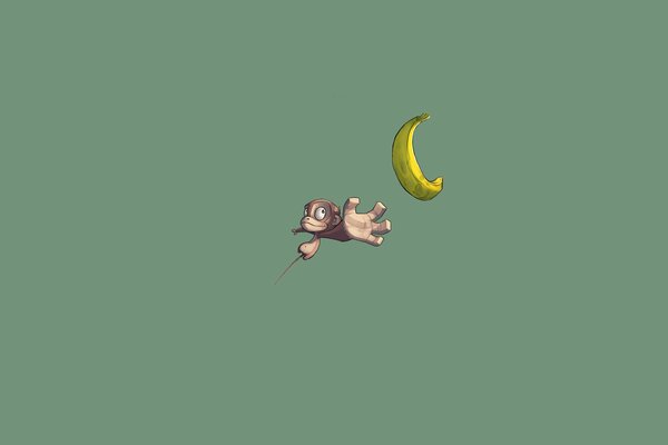 Monkey s flight for a banana on a green background