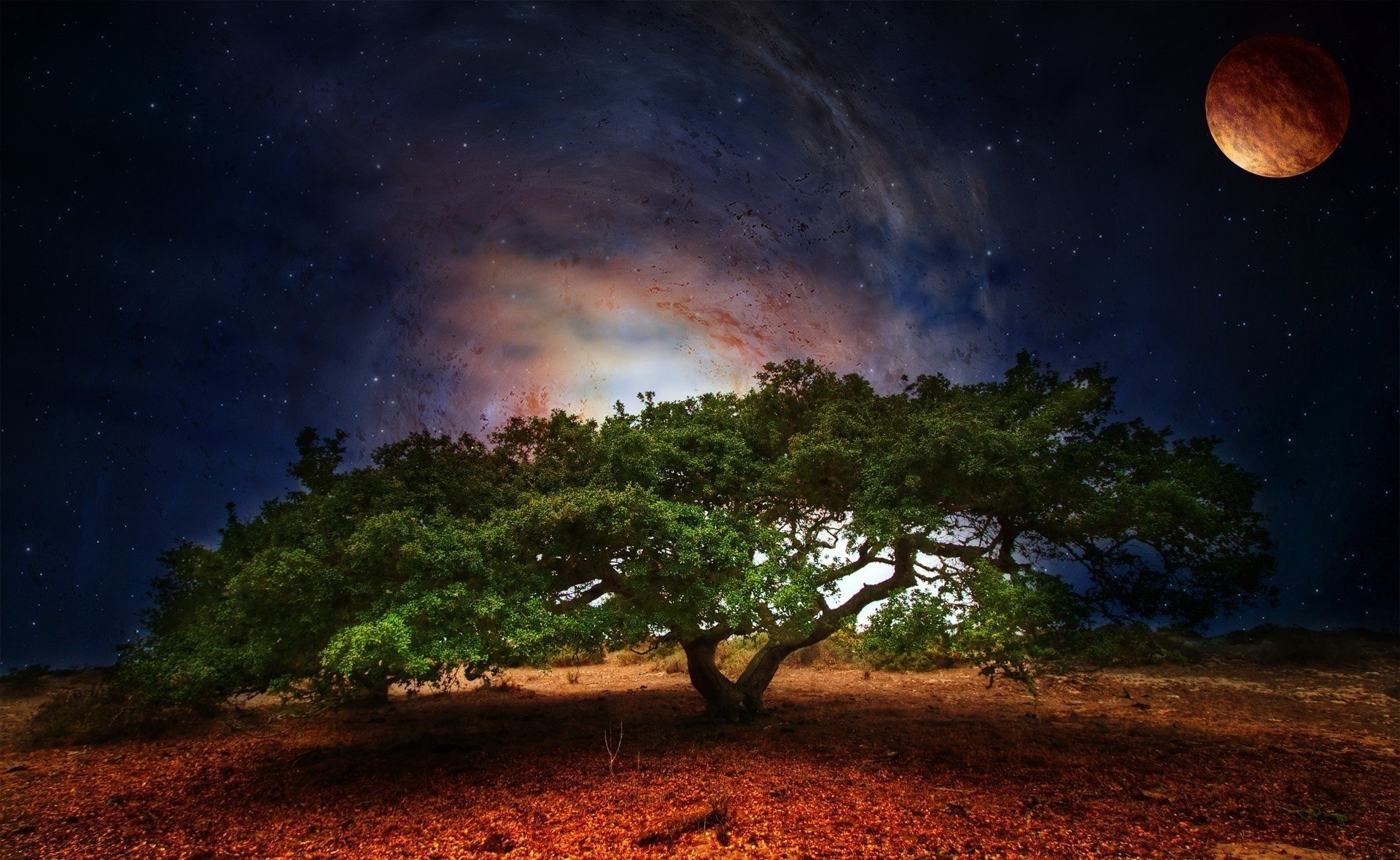 naturaleza árbol vegetación espacio planeta follaje