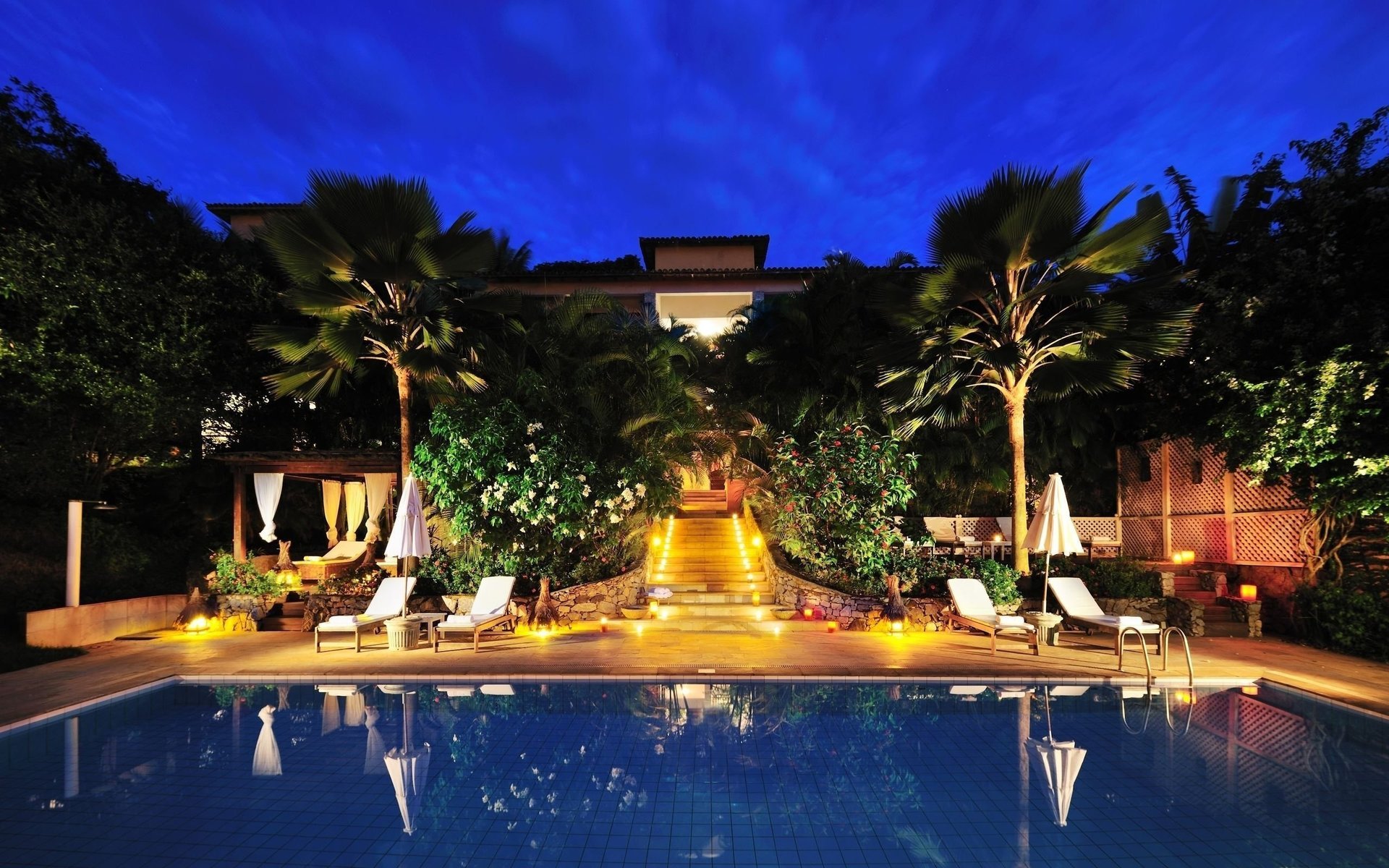 noche piscina plantas palmeras árboles hotel