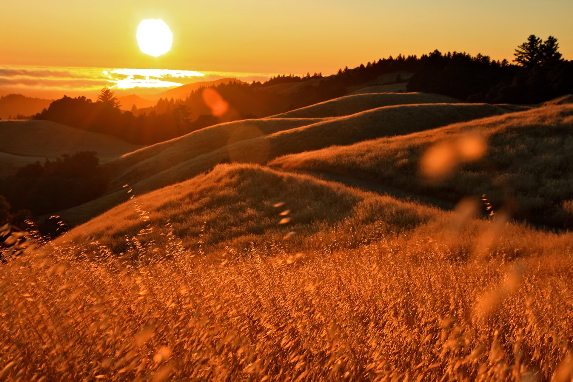 puesta de sol reflejos hierbas california océano colinas sol