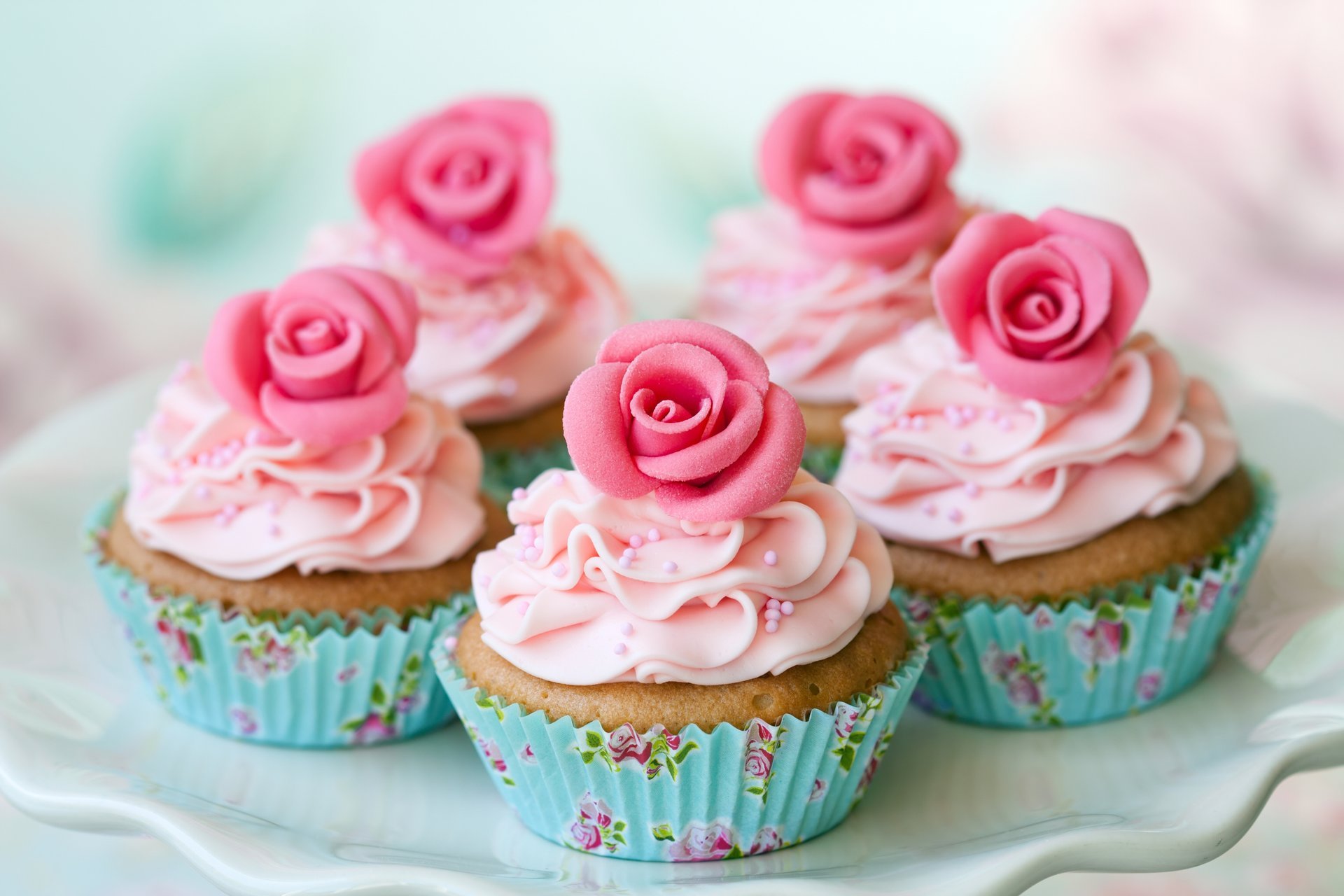 dish cream cupcakes roses dessert