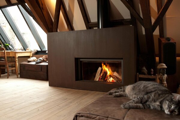 Stylish attic design and fireplace with a cat