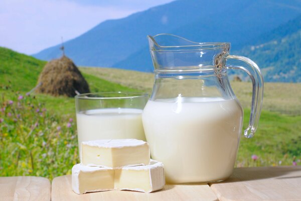 En el fondo de las montañas y prados en una jarra de leche y Brie