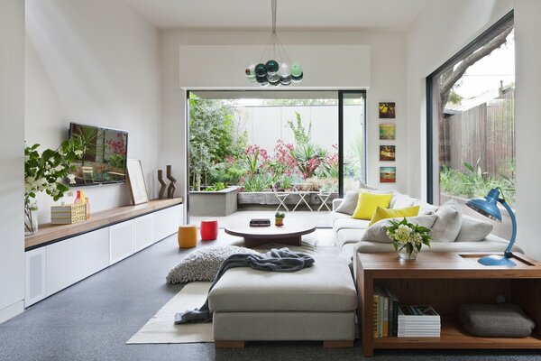 Designer room with flowers and plants