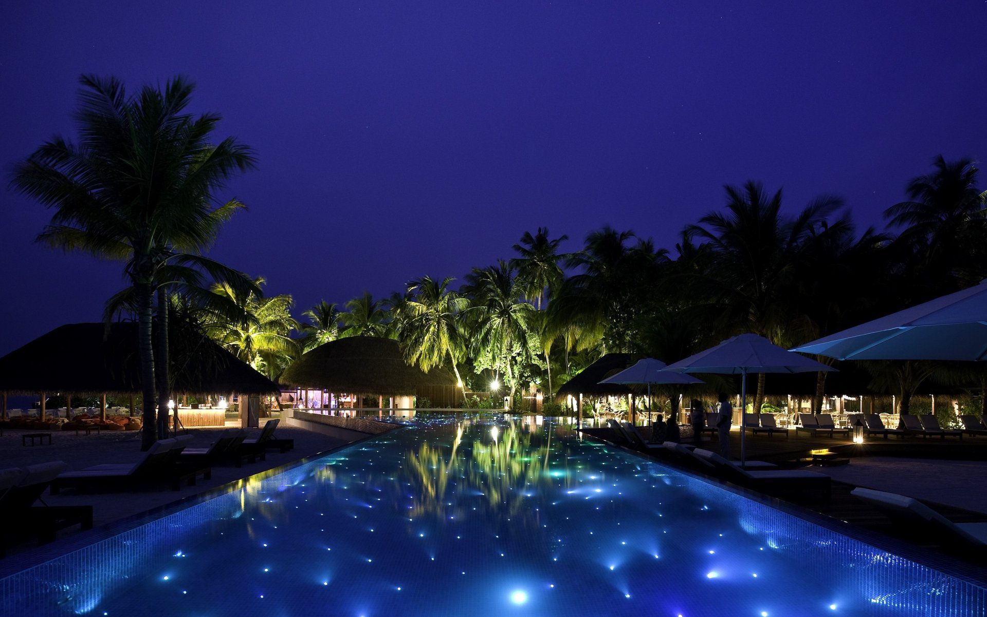 the maldives tropics pool night beds houses palm