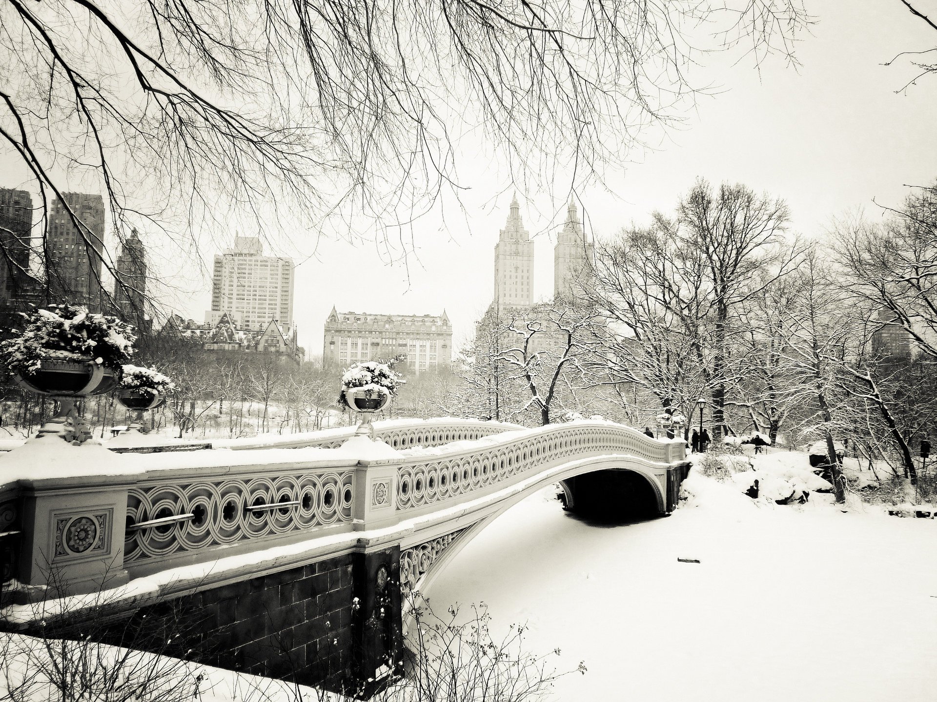 new york city bow bridge central park usa nowy jork nyc usa manhattan