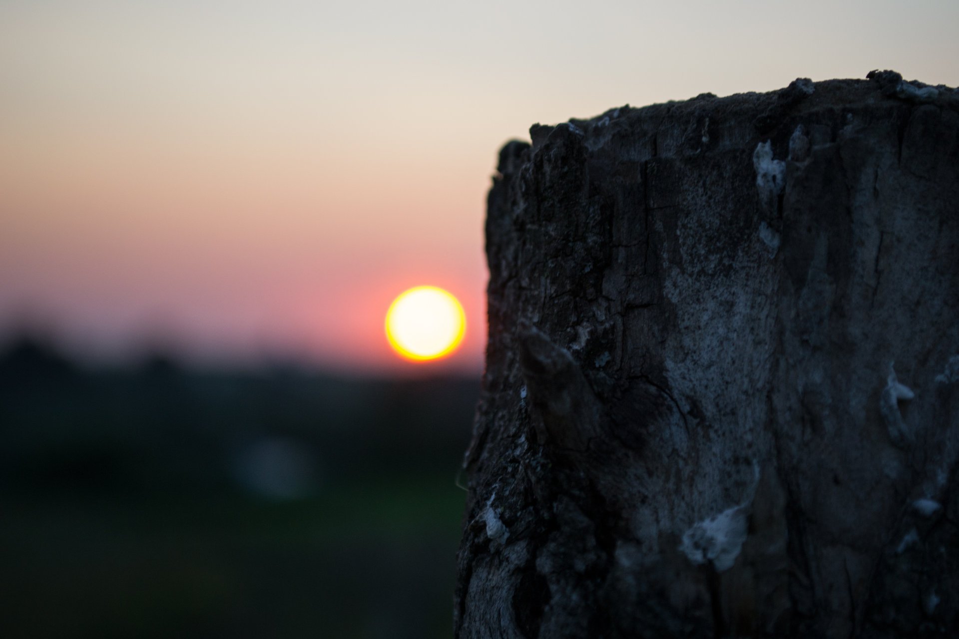 grün sommer traum sonnenuntergang abend landschaft natur land