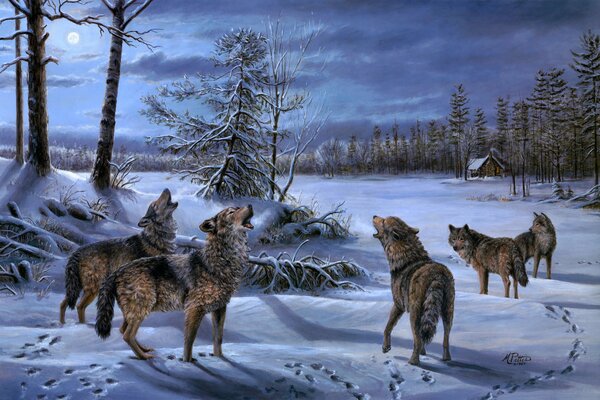 Wolves howl at the moon at night in the winter forest