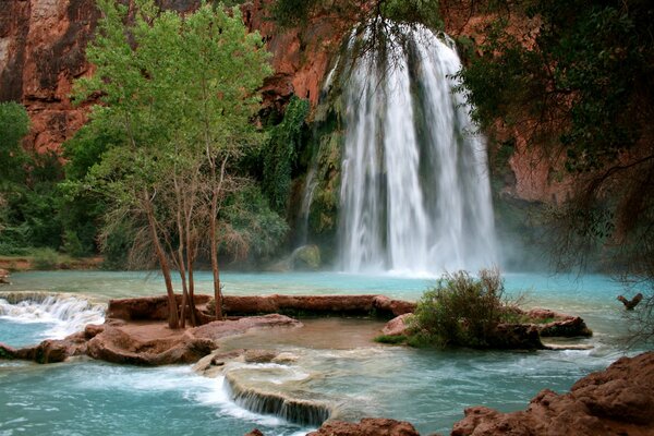 Trees and bushes near a mountain waterfall