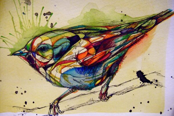 Coloriage d oiseaux dans le dessin graphique