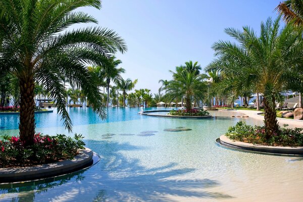 Beach with pool and palm trees in the resort