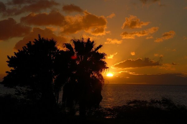 Sonnenuntergang am eilenden Ufer