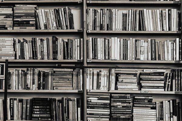 School library shelves with books