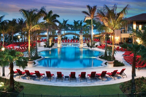 Beautiful pool and around palm trees and sun beds