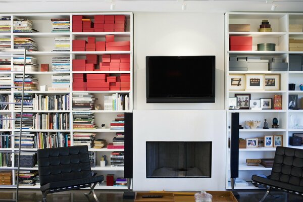 Living room interior with bookcases